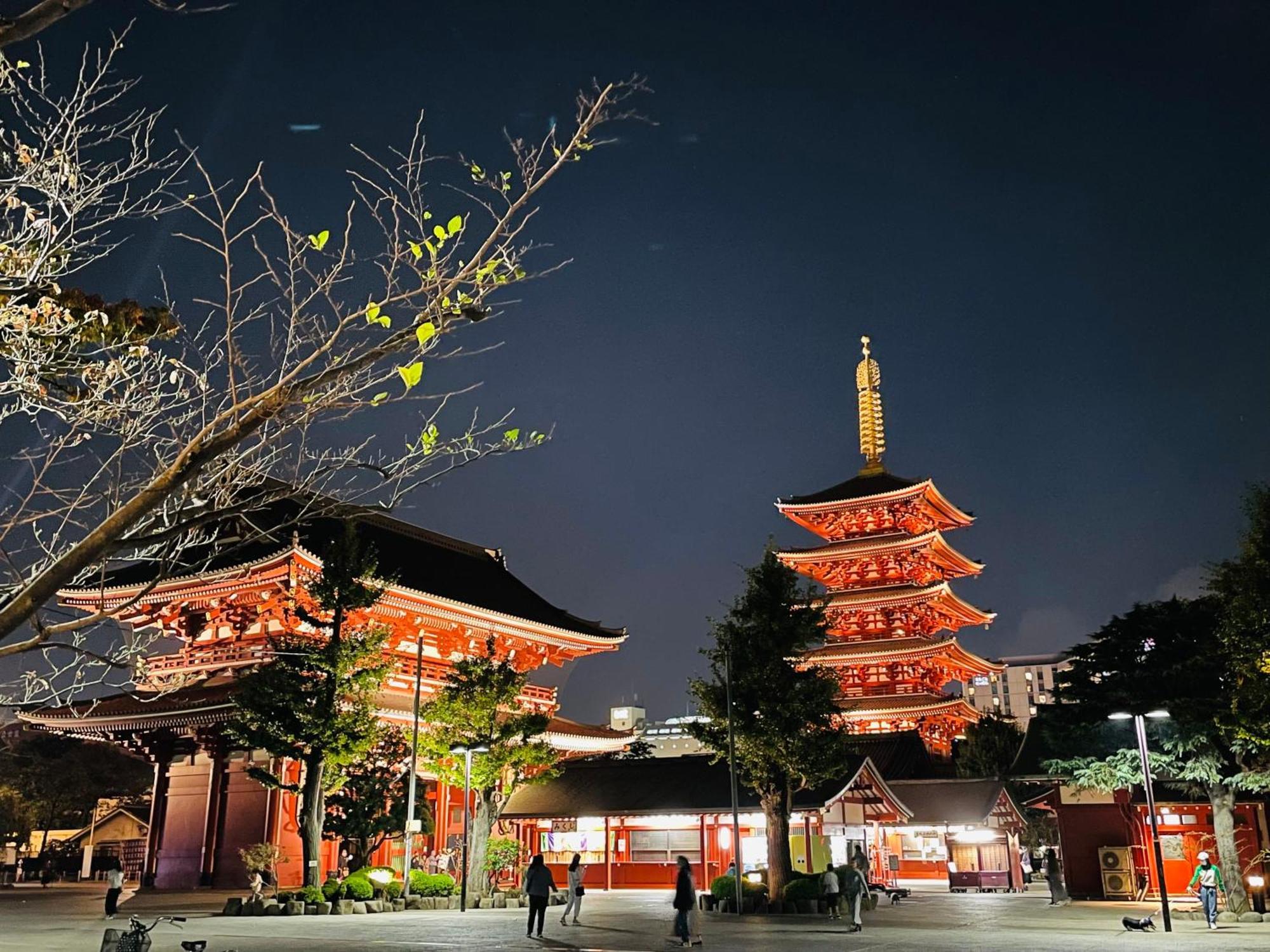 浅草スカイツリービューテラス 浅草寺3分 浅草駅6分 2-10人 成田&羽田空港直通 Daire Tokyo Dış mekan fotoğraf